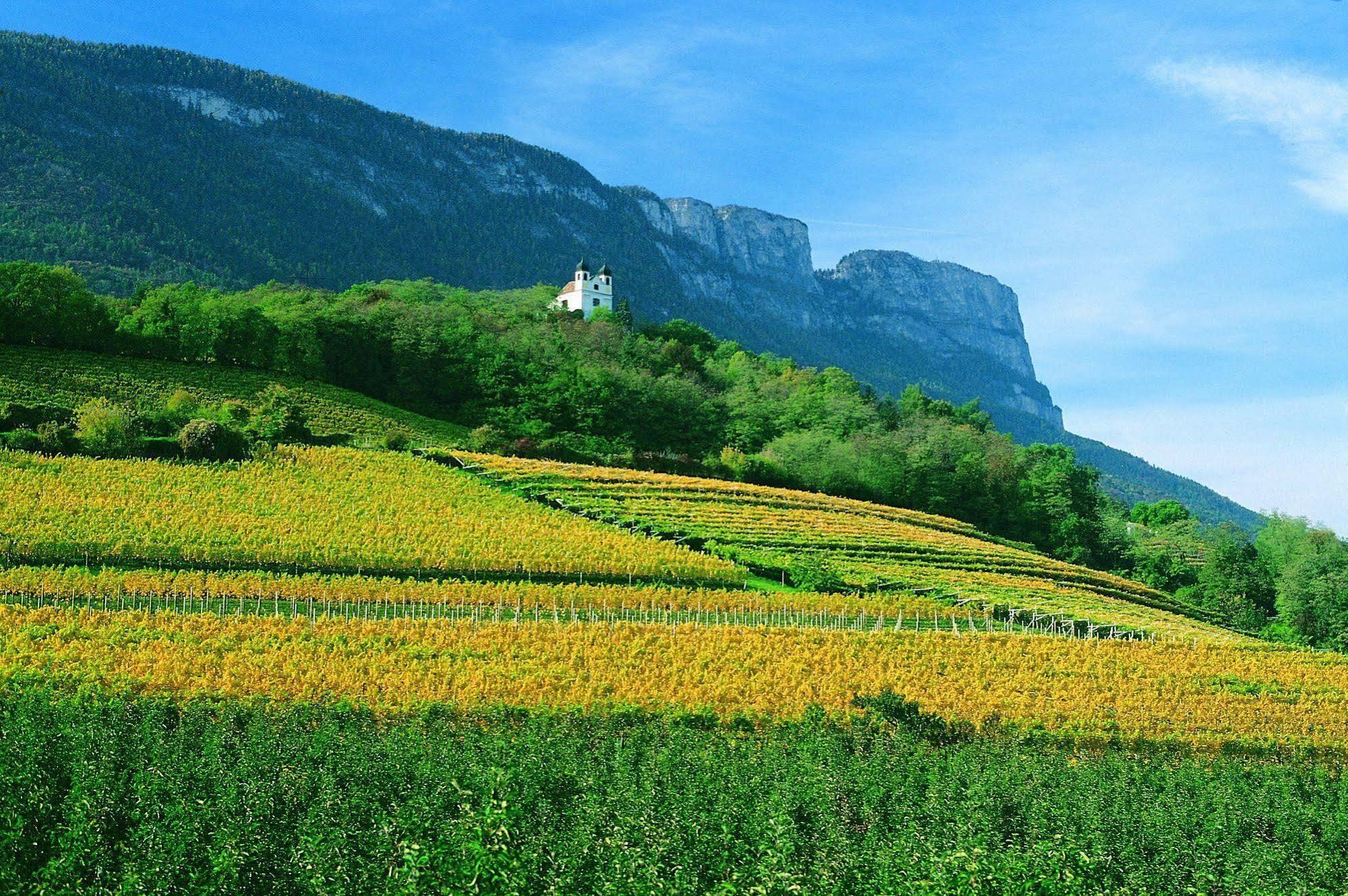 Hotel Gasthof Wastl Appiano Sulla Strada Del Vino Εξωτερικό φωτογραφία