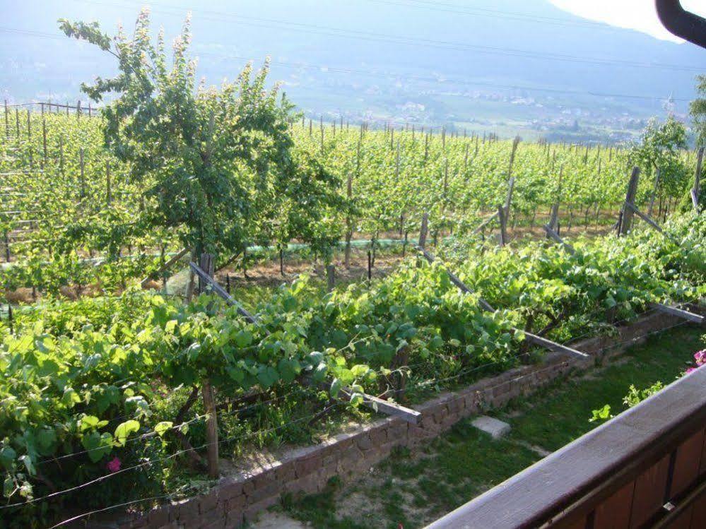 Hotel Gasthof Wastl Appiano Sulla Strada Del Vino Εξωτερικό φωτογραφία